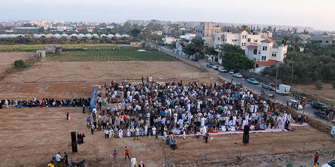 عيد الفطر- الوطن- 2016- السطر الغربي