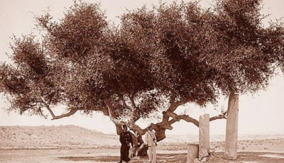 خان يونس  خلال القرن التاسع عشر  إعداد الشيخ مازن الأغا