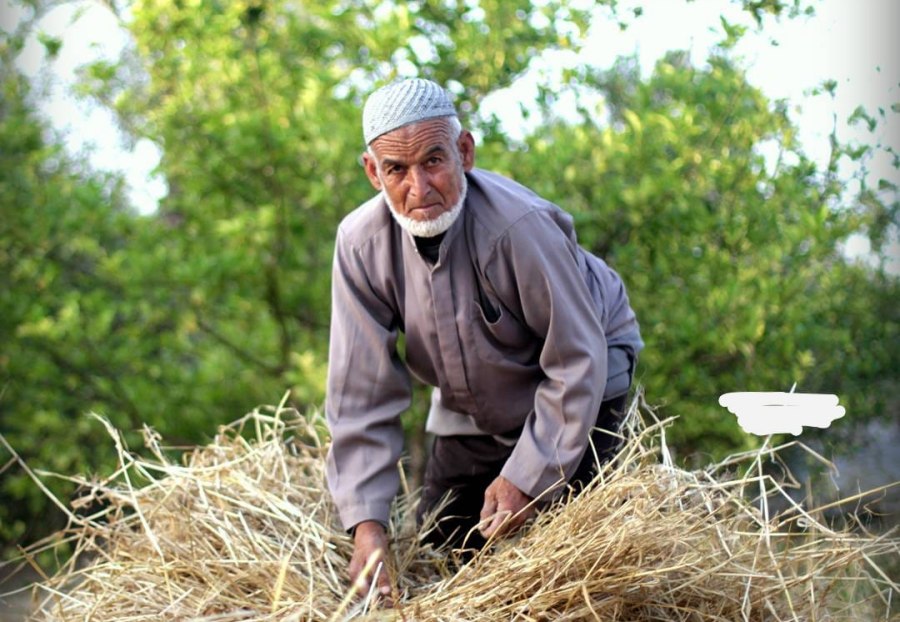 الحاج ماهر نايف فالوجي عثمان الأغا في ذمة الله